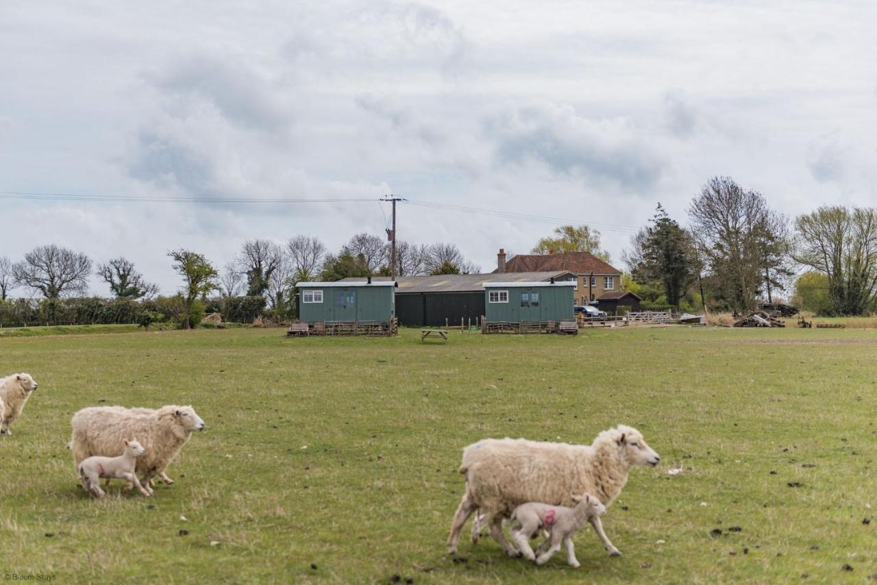 Romney Marsh Huts By Bloom Stays Ashford  Exterior photo